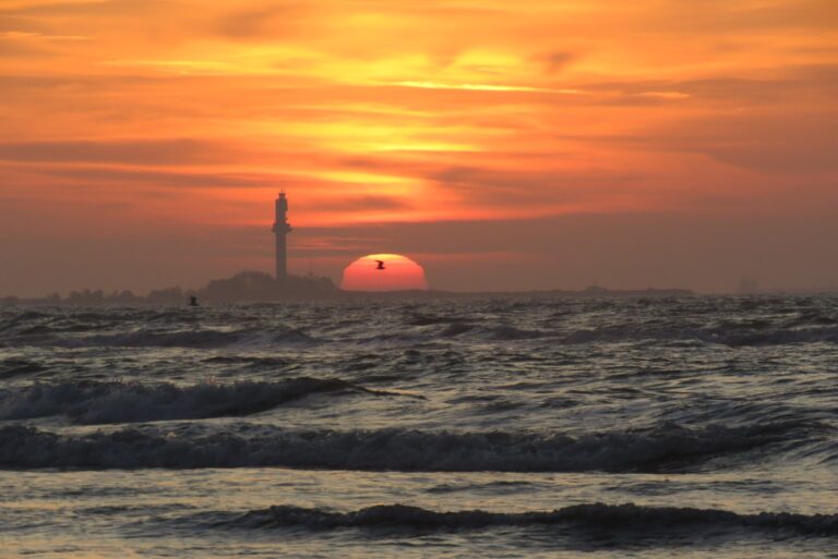 WhatsApp Image 2024-06-10 at 17.10.20 (1)