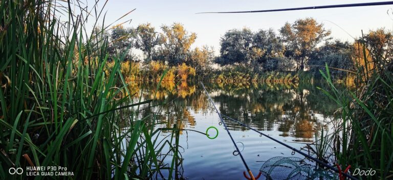 WhatsApp Image 2024-06-10 at 17.10.47 (6)