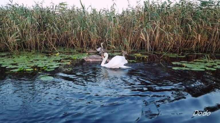 WhatsApp Image 2024-06-10 at 17.10.47 (7)