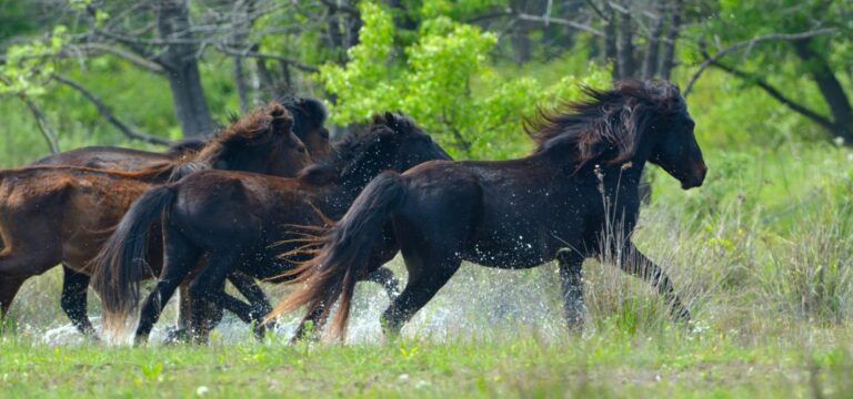 WhatsApp Image 2024-06-10 at 17.10.48 (1)