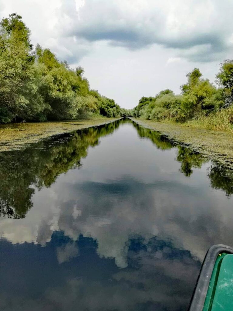 WhatsApp Image 2024-06-10 at 17.10.48 (2)