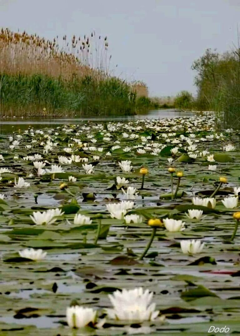 WhatsApp Image 2024-06-10 at 17.10.48 (6)