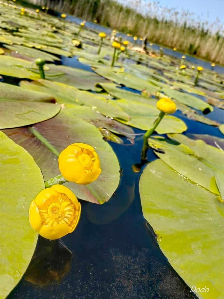 WhatsApp Image 2024-06-10 at 17.10.48 (7)