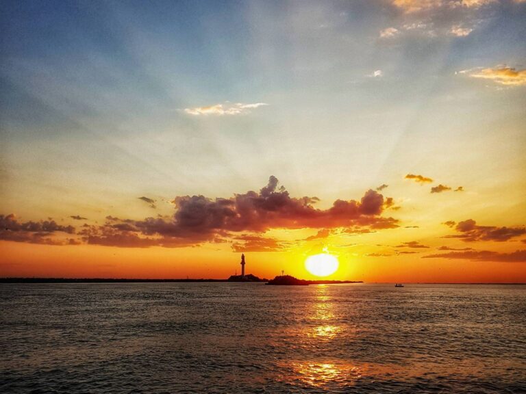 WhatsApp Image 2024-06-10 at 17.10.48