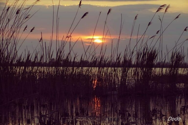 WhatsApp Image 2024-06-10 at 17.10.48 (8)