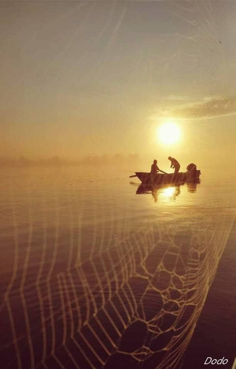 WhatsApp Image 2024-06-10 at 17.10.59 (11)