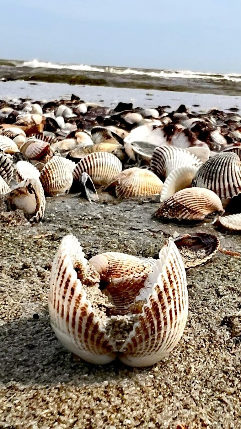 WhatsApp Image 2024-06-10 at 17.10.59 (3)