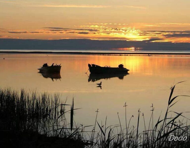 FB_IMG_1632344899932_edit_634323273859978