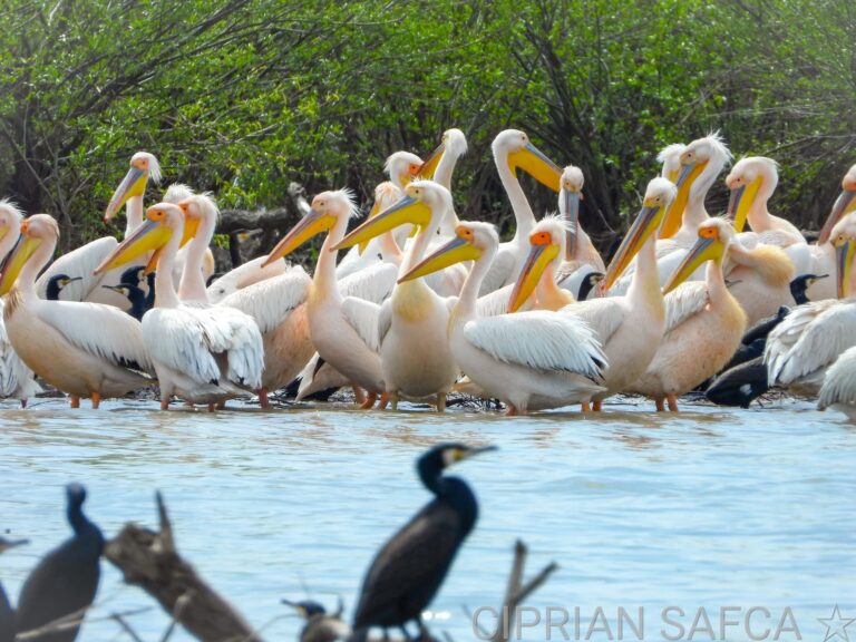 FB_IMG_1767726721977