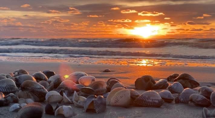 FB_IMG_1767775705354