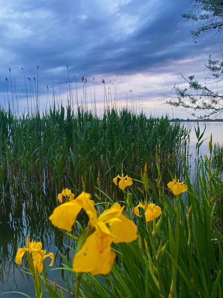 FB_IMG_1767775999603