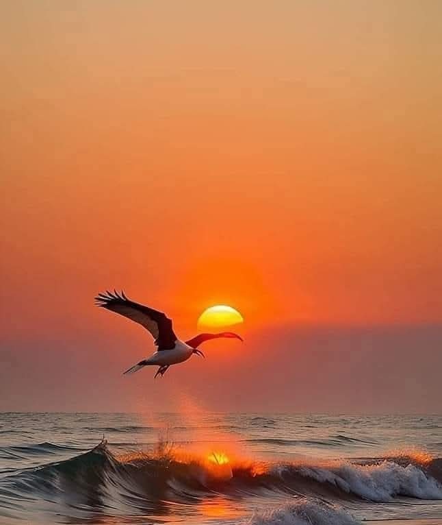 FB_IMG_1767780697624_edit_3792081570765116