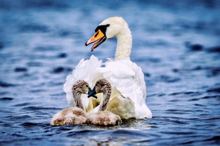 FB_IMG_1767785202613_edit_3794342554541854