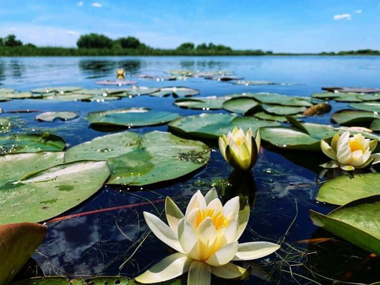 FB_IMG_1767785672703_edit_3794254780825721