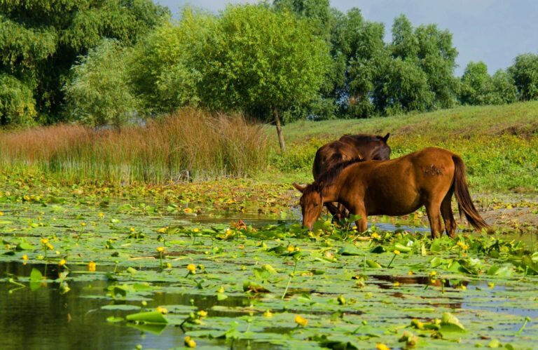 FB_IMG_1767787591375